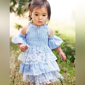Baby Sara Blue Smocked Heart Dress 24M